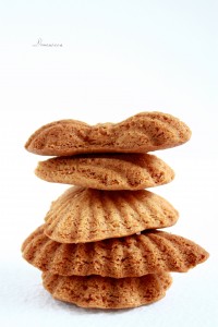 Mekani medenjaci