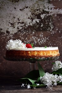 Cheesecake s ABC sirom